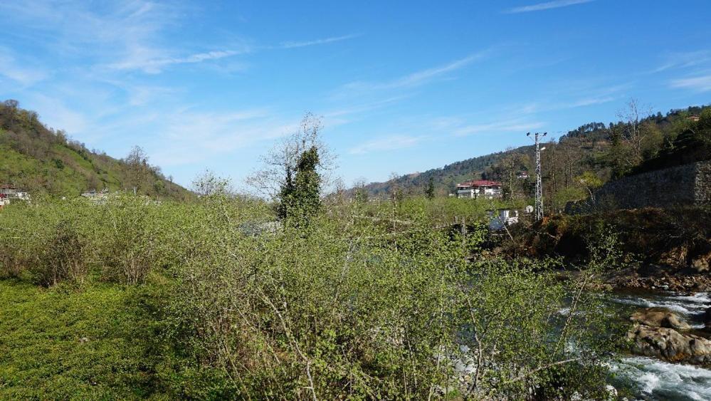 Yesil Dues Tatil Koeyue Findikli (Black Sea) Esterno foto